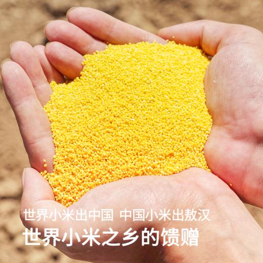 草原汇香 毛毛谷有机小米 商品图3