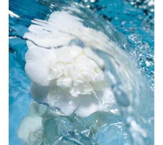 CHANEL香奈儿山茶花气泡水150ml  商品图2