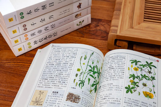 白话版：图解本草纲目 商品图4