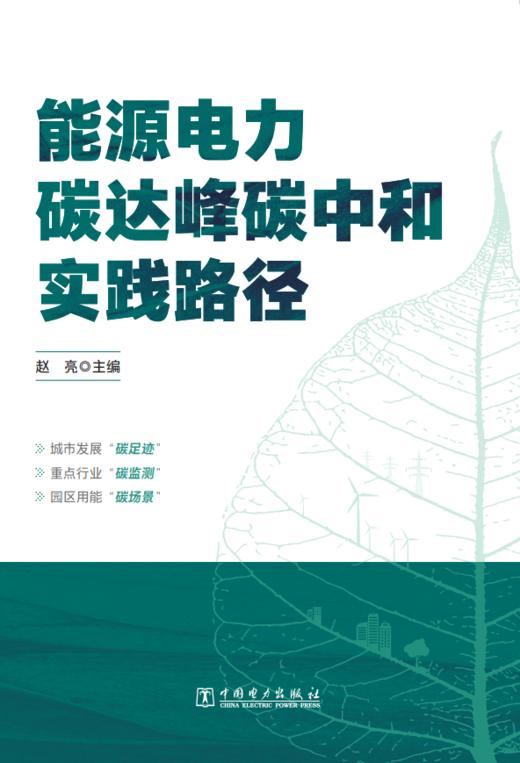 能源电力碳达峰碳中和实践路径 商品图1