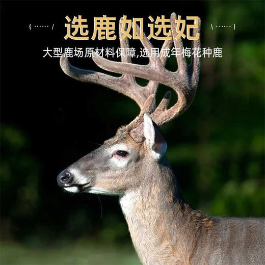 【百年中医传承，古法配方男性滋补】源自1921年 时珍颜究堂鹿鞭膏人参鹿鞭膏鹿参膏滋补膏枸杞黄精山药调理膏  腰酸背痛体力不支 古法熬制 黄精人参鹿鞭 商品图2