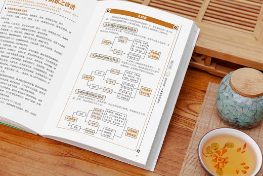 白话版：图解伤寒论   张仲景著 商品图9