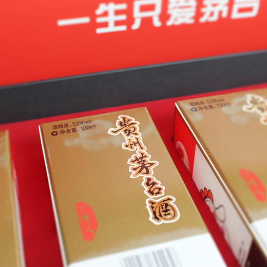 贵州茅台酒 i茅台小可爱 100ml*5瓶带礼盒 飞天茅台 53度 酱香型白酒 小酒版  商品图2