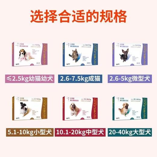大宠爱体外驱虫滴剂去跳蚤幼犬幼猫泰迪狗狗猫咪体内外驱虫药 商品图1