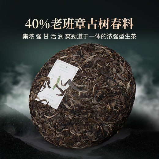 双陈2023年双陈五星生茶357g勐海产区老班章云南普洱茶 商品图2