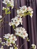 【春枝花】梨花  白色  约2枝/扎 商品缩略图7