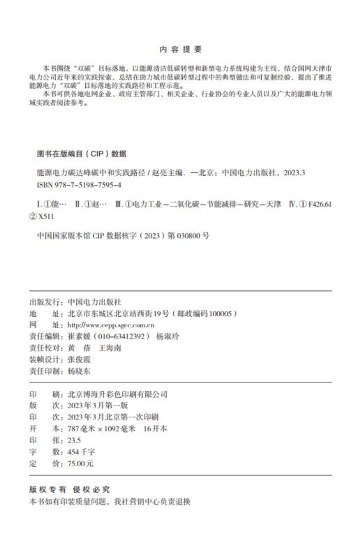 能源电力碳达峰碳中和实践路径 商品图3