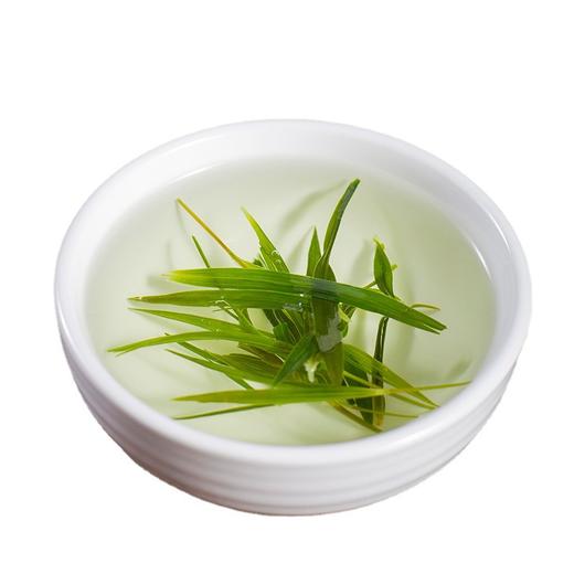 【早春明前春茶】淡竹叶茶竹叶青 淡竹叶茶 新茶茶叶 罐装40g 商品图4