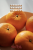 【春季柑橘挚爱 爆汁小炸弹 】2025新产季 不打药的桂林沃柑 柑橘爆汁小炸弹 商品缩略图1