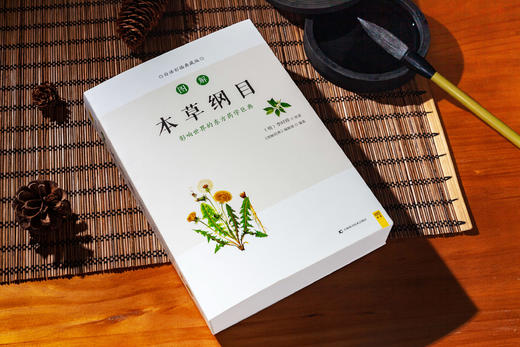 白话版：图解本草纲目 商品图2