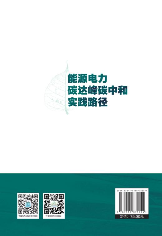 能源电力碳达峰碳中和实践路径 商品图2
