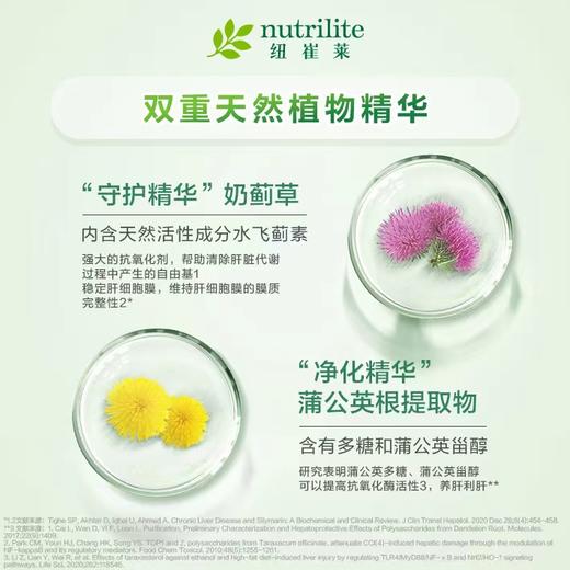 NCL奶蓟草片 商品图3