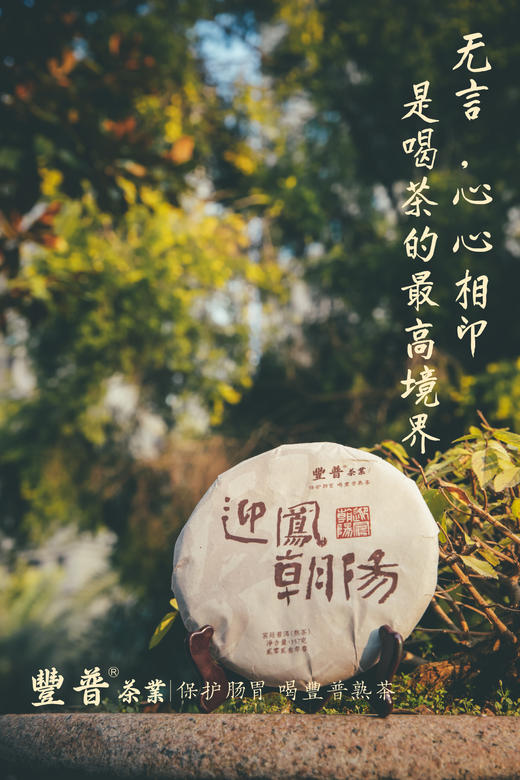 2023迎凤朝阳 熟茶 357克 /饼 商品图3