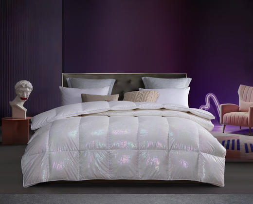 宫廷炫彩-Silence错层锁温混合控温抗菌被 商品图0