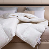 宫廷炫彩-Silence错层锁温混合控温抗菌被 商品缩略图1