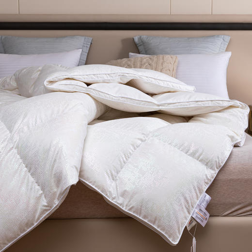 宫廷炫彩-Silence错层锁温混合控温抗菌被 商品图1