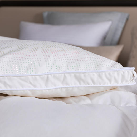 宫廷炫彩-Silence错层锁温混合控温抗菌被 商品图2