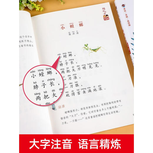 陪孩子读童诗童谣全4册 彩图注音版 一年级阅读课外书必读老师儿童诗歌绘本读物适合6岁以上孩子看的带拼音绘本1年级经典书目 商品图2