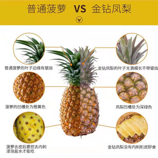 海南金钻凤梨  树上自然熟 商品图7