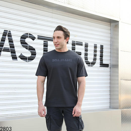 运动休闲圆领短T上衣   FLW-3CA06BSZL32803【TP232803】* 商品图2