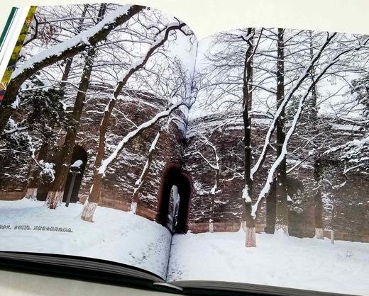 《家住六朝烟水间》，布面精装，薛冰著，后浪出版，北京联合出版公司2022年一版一印，480页，定价128，售价64元。 商品图8