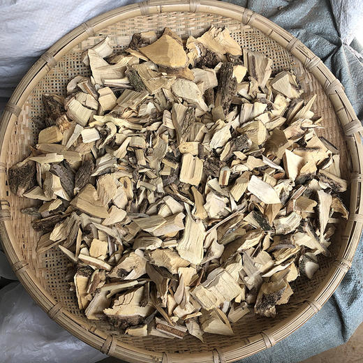 接骨木 商品图0