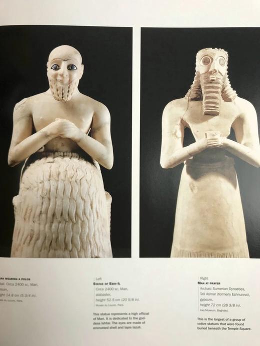 古代近东：文明的起源 数百幅插图 平装大16开 商品图13