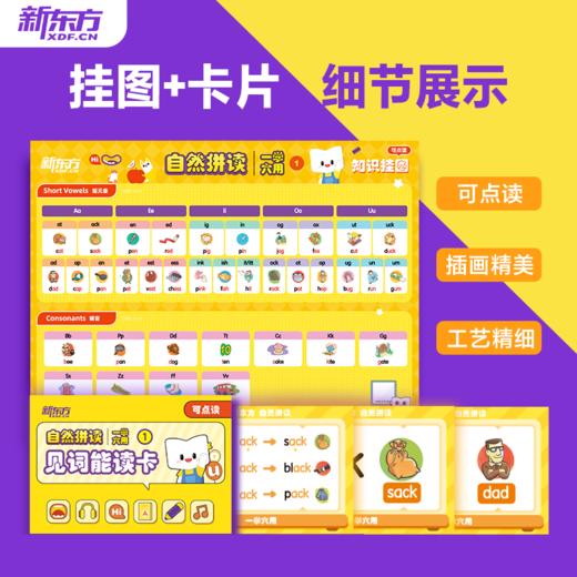 【常爸专享】【新东方】自然拼读（英语读写启蒙，见词能读听音能写，新东方一学六用超有趣更有效自研可点读） 商品图5