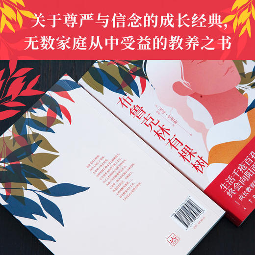 布鲁克林有棵树 商品图2