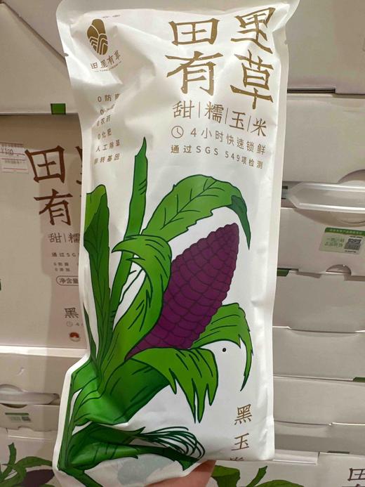 田里有草甜糯黑玉米单支装 商品图3
