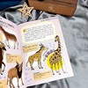 天哪,我居然活下来了! 古生物的演化故事 商品缩略图2