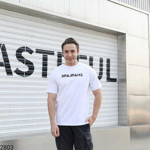 运动休闲圆领短T上衣   FLW-3CA06BSZL32803【TP232803】* 商品图4