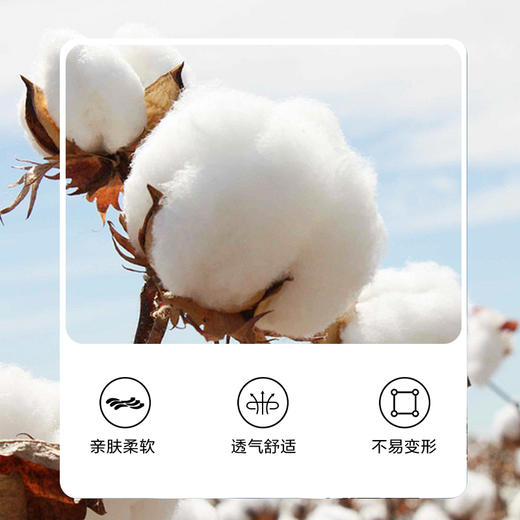 一口价【新款DK】大依优型大码纯棉V领短袖T恤净版多色夏季加肥加大肥佬休闲商务宽松透气男装上衣 商品图2