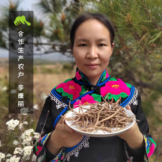 野生太子参 | 合作生产* Wild radix pseudostellariae | Coproduction 商品图1