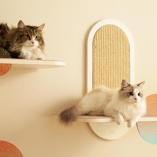 CatS日落大道系列 墙上猫跳台猫窝猫抓板猫爬架 商品图2