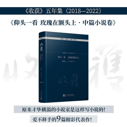收获五年集2018—2022（全4册） 散文中短篇小说 余华叶兆言余秀华徐则臣双雪涛张悦然等短篇佳作 人民文学出版社 九久读书人出版 商品图3
