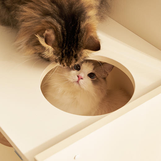 CatS日落大道系列华灯初上 猫窝猫抓板储物柜 商品图4