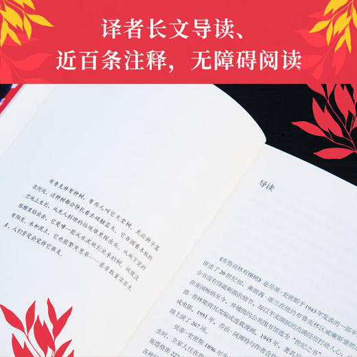 布鲁克林有棵树 商品图4