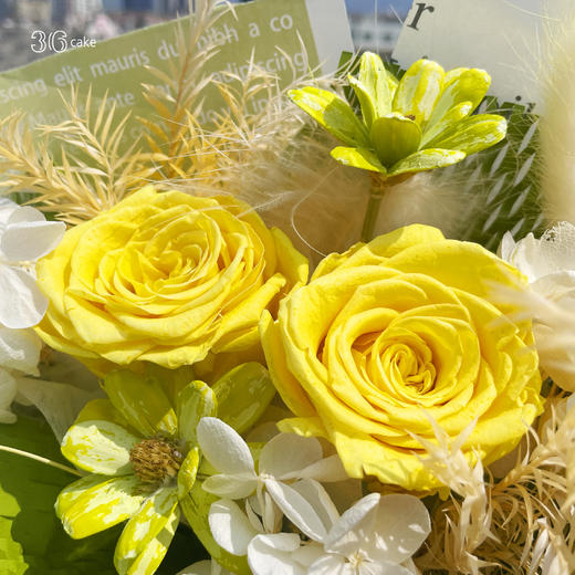 白羊座·新绿，一束 商品图1