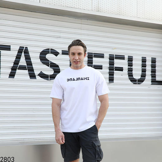 运动休闲圆领短T上衣   FLW-3CA06BSZL32803【TP232803】* 商品图6