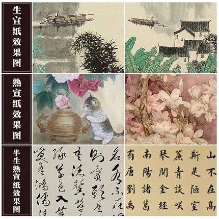 【庆学堂】精选国画书法仿古宣纸 商品图2