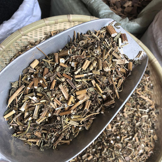 鬼针草 商品图4