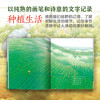 如果你想吃西瓜 商品缩略图2