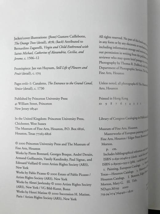 休斯顿美术馆欧洲绘画杰作图集 百余幅插图 平装大16开 商品图4