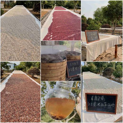 【红豆薏米祛湿茶250g*2罐】三蒸三晒一翻炒 古法真材实料 赤小豆薏米芡实 商品图6