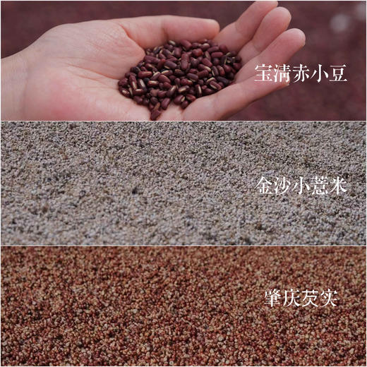 【红豆薏米祛湿茶250g*2罐】三蒸三晒一翻炒 古法真材实料 赤小豆薏米芡实 商品图2