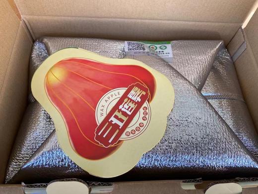 南鹿莲雾（礼盒装） 商品图1