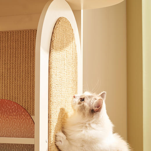 CatS日落大道系列灿烂朝晖 猫爬架猫窝猫玩具 商品图3