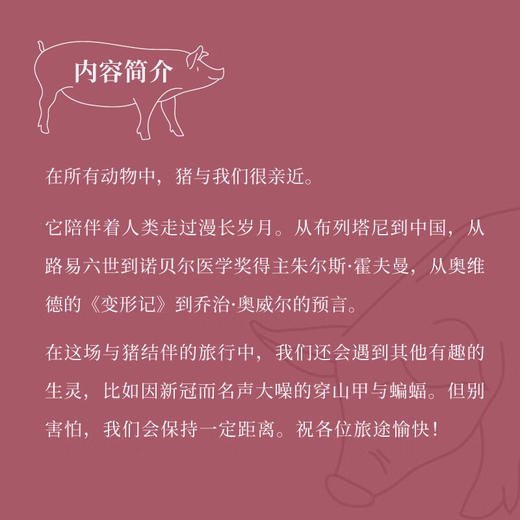 与猪同游生灵世界:全球化简史 商品图3