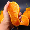 新鲜水果不知火丑橘水果桔子丑柑橘现货包邮9斤 商品缩略图4